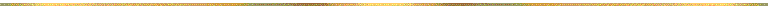 gold separator bar