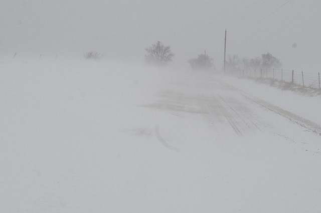 Jimmy (by Grant Bentley)