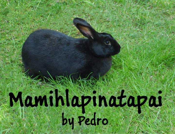 Mamihlapinatapai by Pedro