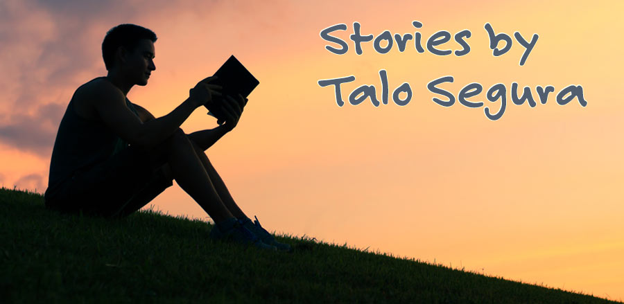 Milo by Talo Secura